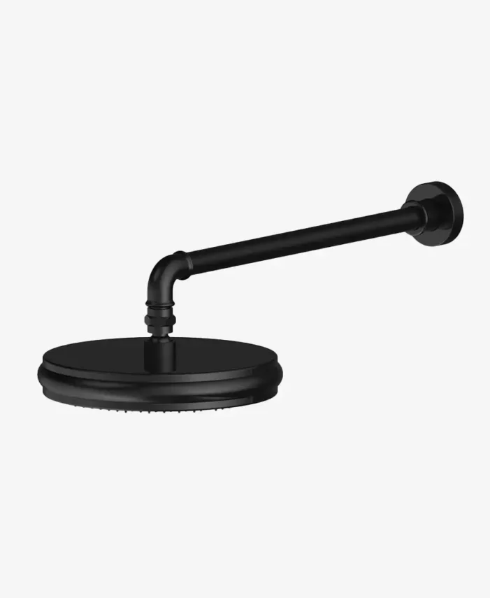 Shower Head With Arm